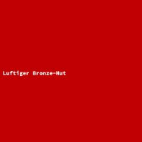 Luftiger Bronze-Hut