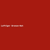 Luftiger Bronze-Hut